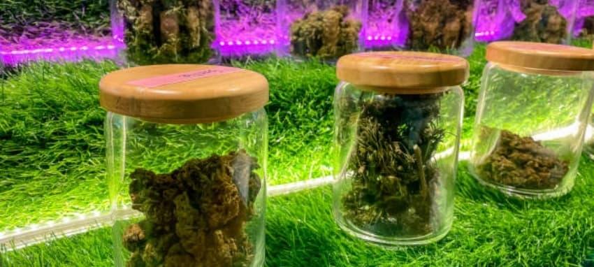 Eldobható e-Cigi guía práctica y comparativa de precios para cigarrillos electronicos mapeli